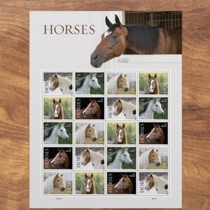 100 Horses 2024 Forever Postage‎ Stamps US Postal USPS Equestrian Riding Ponies